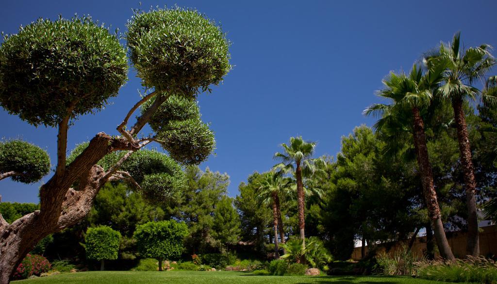 Jardines De Amaltea Hotel Lorca  Eksteriør billede
