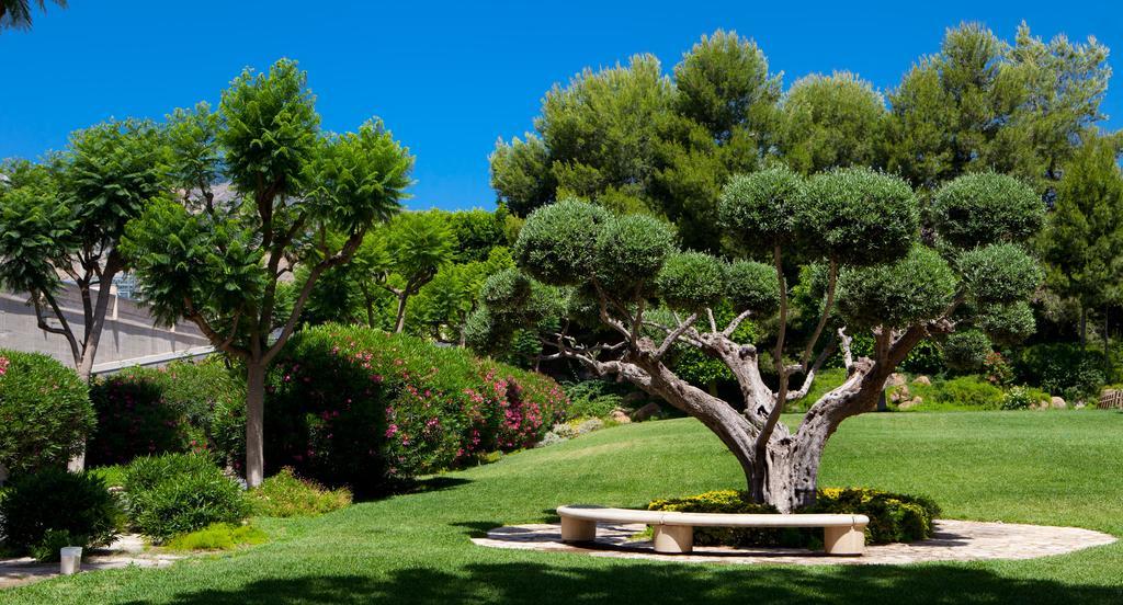 Jardines De Amaltea Hotel Lorca  Eksteriør billede
